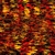 burning_grass_16_photo_slideshow.jpg