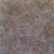 bush_seed_dreaming_photo_slideshow.jpg