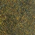 bush_medicine_4_photo_slideshow.jpg