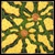 wild_bush_yam_dreaming_photo_slideshow.jpg