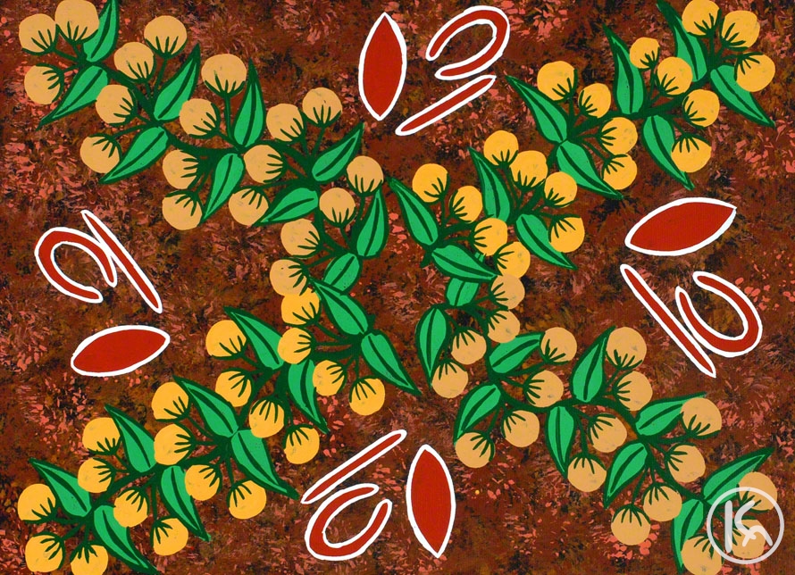 Bush Tucker Dreaming (0702595), Bevan Tjampitjimpa