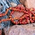 aboriginal_ininti_seed_necklace_1_photo_slideshow.jpg
