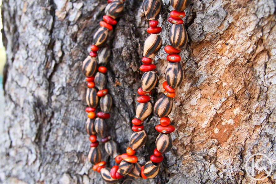 Ininti Seed and Gumnut Necklace (AN12045217), Annie Nelson Napangardi
