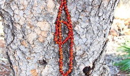 Ininti Seed Necklace (AN12045219)