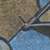 bush_hen_dreaming_2_photo_slideshow.jpg