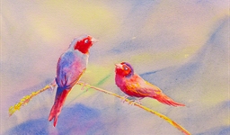 Crimson Finch (14102589)