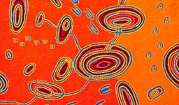 Janganpa Jukurrpa (5318/15)