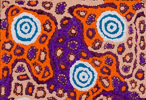 Desert Oak Jukurrpa