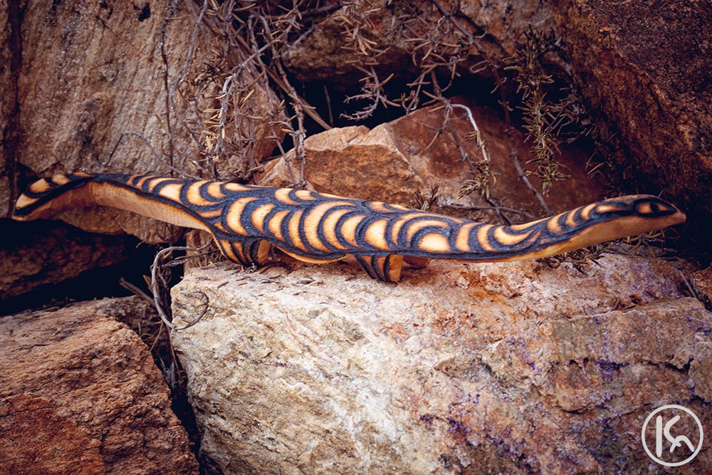 Wooden Goanna (FI102), Francie Ingkatji