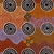 Bush Foods (5206)